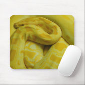 Tapis De Souris Python birman jaune (Avec souris)
