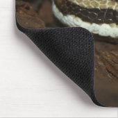 Tapis De Souris Python Brown (Coin)