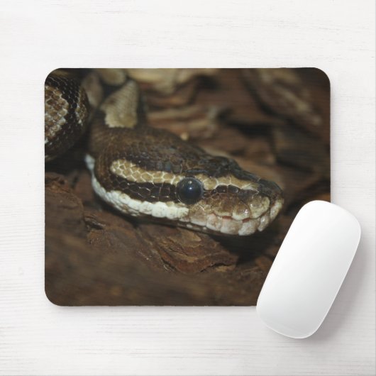Tapis De Souris Python Brown (Avec souris)