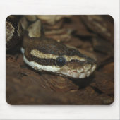 Tapis De Souris Python Brown (Devant)