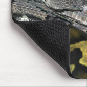 Tapis De Souris Python molurus bivittatus (Coin)