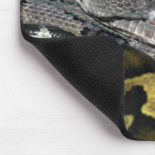 Tapis De Souris Python molurus bivittatus (Coin)