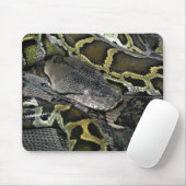 Tapis De Souris Python molurus bivittatus (Avec souris)