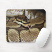 Tapis De Souris Python Mousepad de boule d'araignée (Avec souris)