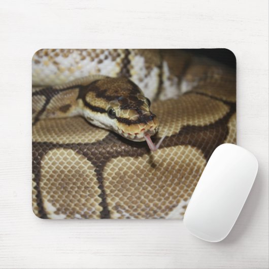 Tapis De Souris Python Mousepad de boule d'araignée (Avec souris)