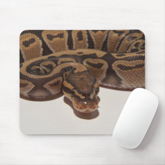 Tapis De Souris Python Mousepad de boule de fantôme (Avec souris)