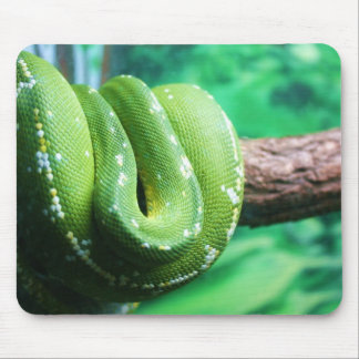 Tapis De Souris Python vert Mousepad d'arbre