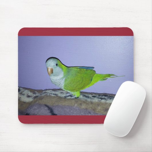 Tapis De Souris Quaker Parrot Mousepad (Avec souris)