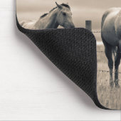 Tapis De Souris Quart De Chevaux Sur Les Prairies Canadiennes (Coin)