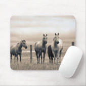 Tapis De Souris Quart De Chevaux Sur Les Prairies Canadiennes (Avec souris)