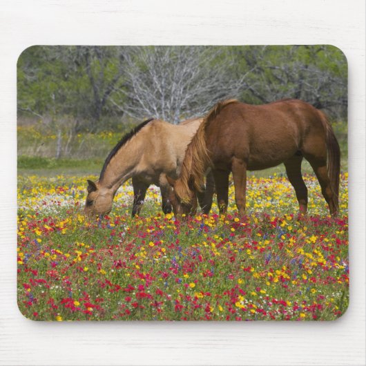 Tapis De Souris Quarter Horse dans le champ de fleurs sauvages prè (Devant)
