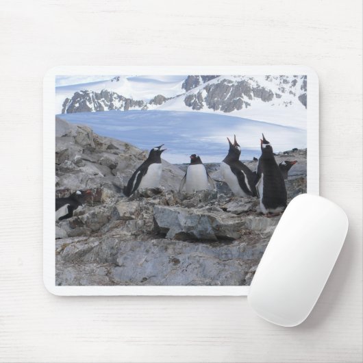 Tapis De Souris Quartet de raseur-coiffeur (Avec souris)