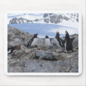 Tapis De Souris Quartet de raseur-coiffeur (Devant)