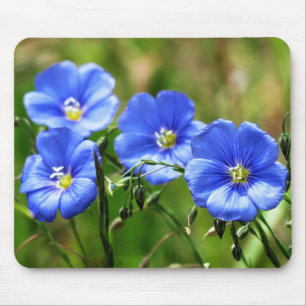 Tapis De Souris Quatre Beaux Fleurs sauvages Bleus Bloom Kananaski