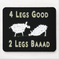 Quatre Jambes Beau Mouton Drôle