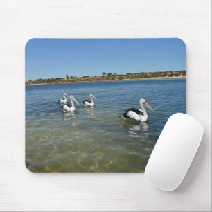 Tapis De Souris Quatre Pélicans Baignade Sur La Mer, Souris