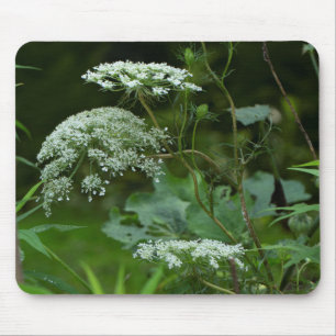 Tapis De Souris Queen Anne's La ce Fleur sauvage - Daucus carota