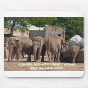 Tapis De Souris Quelle manière ?