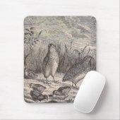 Tapis De Souris Queue (Avec souris)