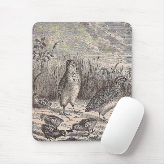 Tapis De Souris Queue (Avec souris)