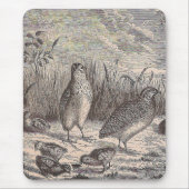 Tapis De Souris Queue (Devant)