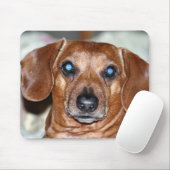 Tapis De Souris Qui je (Avec souris)