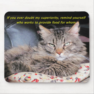 Tapis De Souris Qui travaille pour qui ? Mème de chat