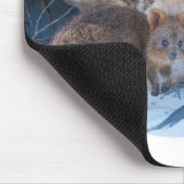 Tapis De Souris Quokka (Coin)