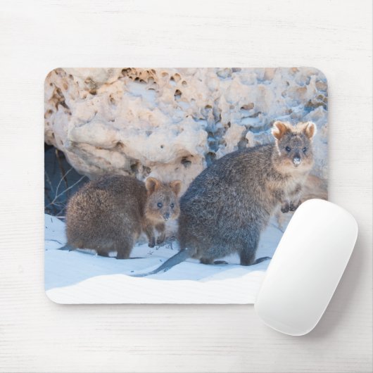 Tapis De Souris Quokka (Avec souris)