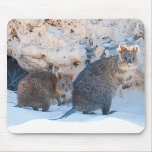 Tapis De Souris Quokka