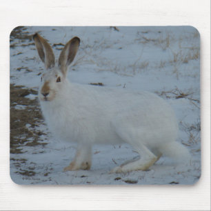 Tapis De Souris R23 Lièvre à Varies