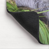 Tapis De Souris Raccoon (Coin)