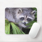 Tapis De Souris Raccoon (Avec souris)