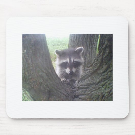 Tapis De Souris Raccoon dans l'arbre (Devant)