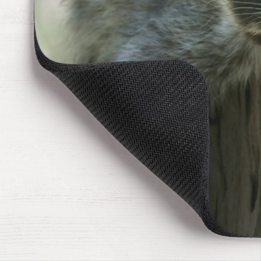 Tapis De Souris Raccoon Mousepad (Coin)