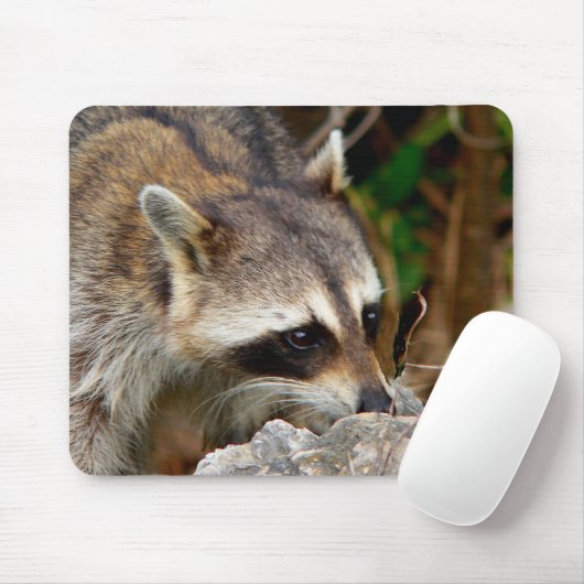 Tapis De Souris Racoon Mousepad (Avec souris)