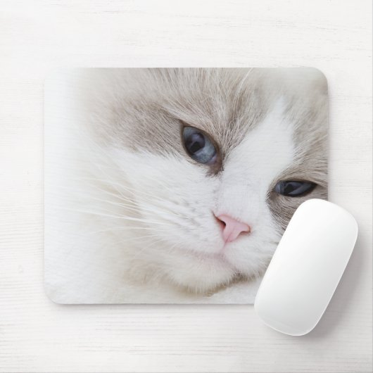 Tapis De Souris Ragdoll (Avec souris)