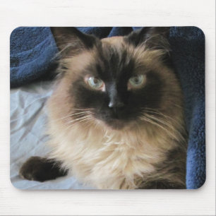 Tapis De Souris Ragdoll Cat