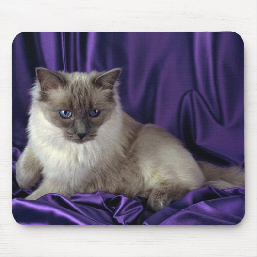 Tapis De Souris Ragdoll, point bleu (Devant)