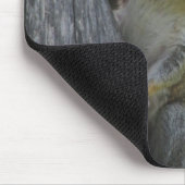 Tapis De Souris Raid d'écureuils Alimentation d'oiseaux avec vos i (Coin)