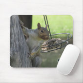 Tapis De Souris Raid d'écureuils Alimentation d'oiseaux avec vos i (Avec souris)
