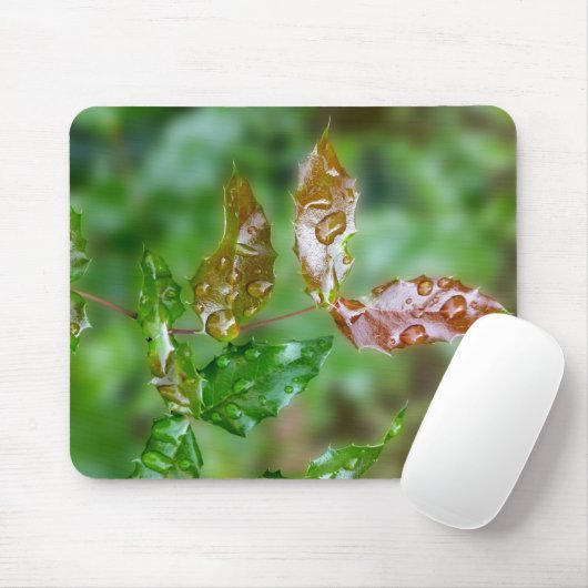 Tapis De Souris Raindrops (Avec souris)