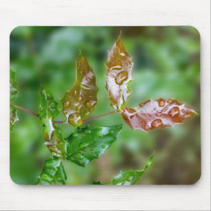 Tapis De Souris Raindrops