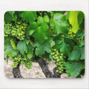 Tapis De Souris Raisin de cuve, France