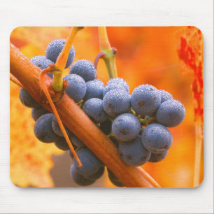 Tapis De Souris Raisin de vigne dans le vignoble