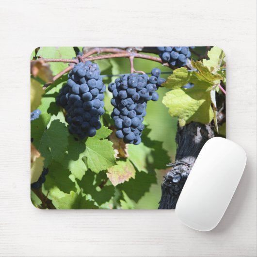 Tapis De Souris Raisins (Avec souris)