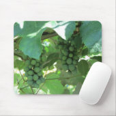 Tapis De Souris Raisins sur les vignes (Avec souris)