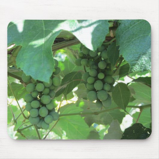 Tapis De Souris Raisins sur les vignes (Devant)
