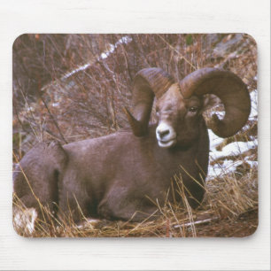 Tapis De Souris RAM de Bighorn