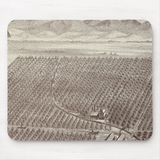 Tapis De Souris Ranch des fruits de Chapin (Devant)